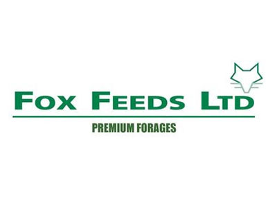 fox feeds Logo